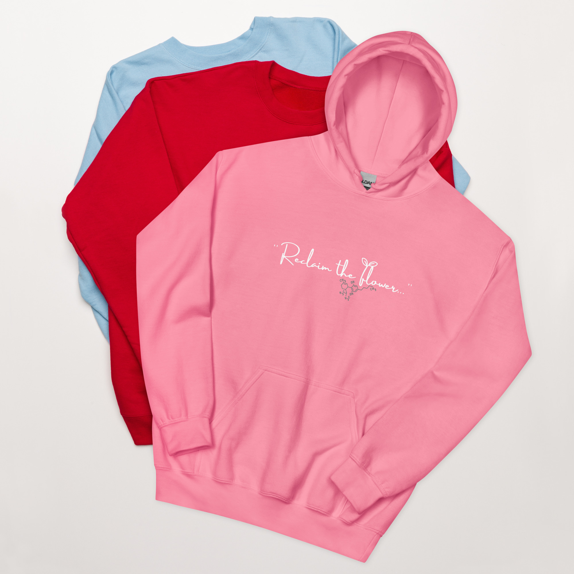 Light Blue RTF Hoodie - Image 5