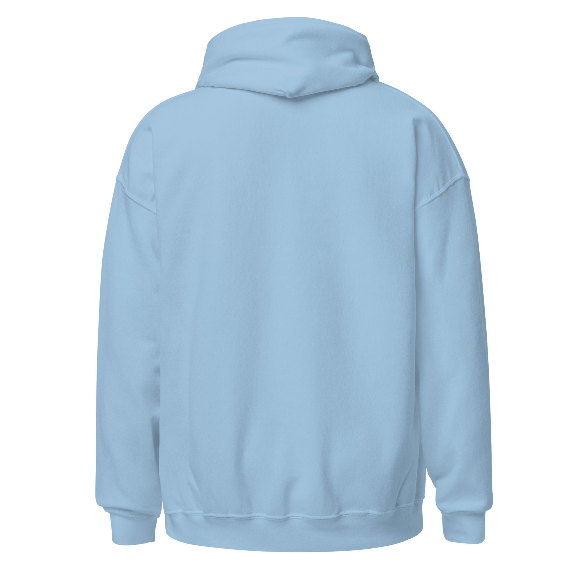 Light Blue RTF Hoodie - Image 2